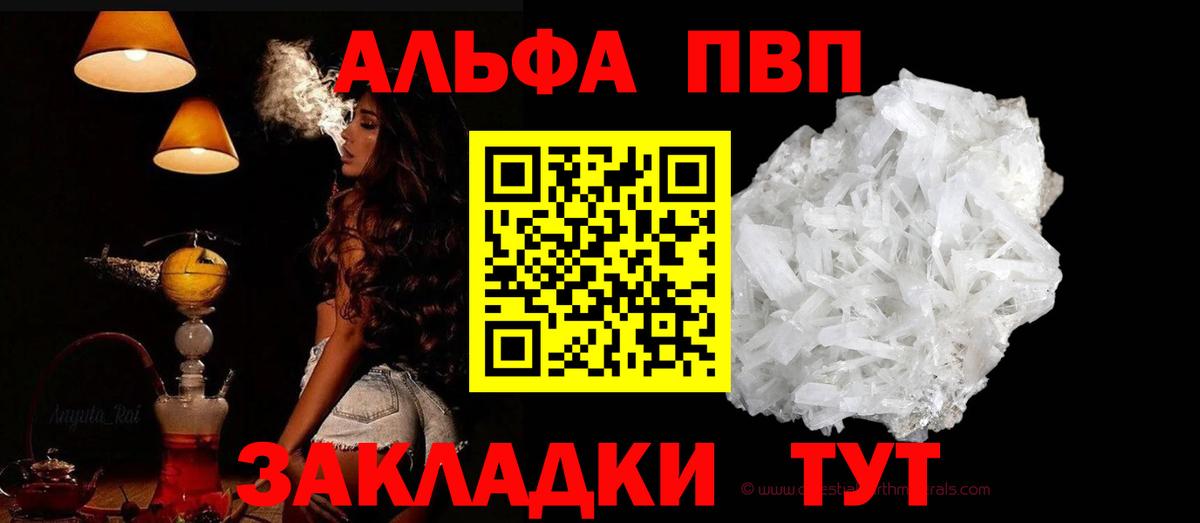 APVP СК Сунжа