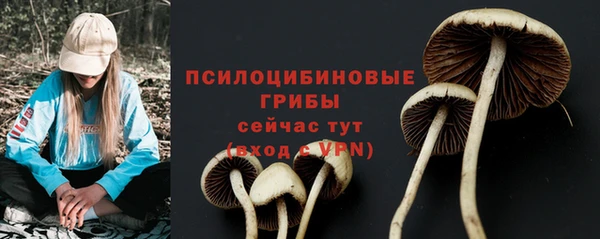 прущий лед Лагань