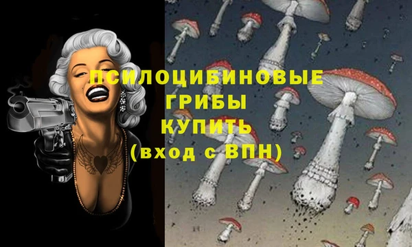 прущий лед Лагань