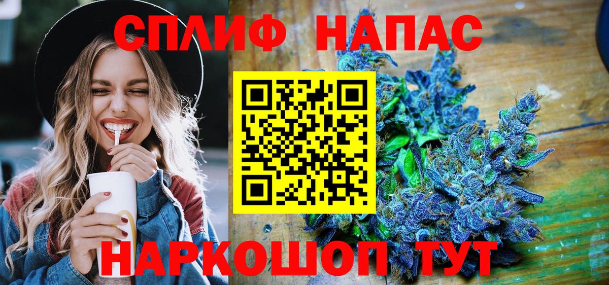 Канабис конопля Сунжа